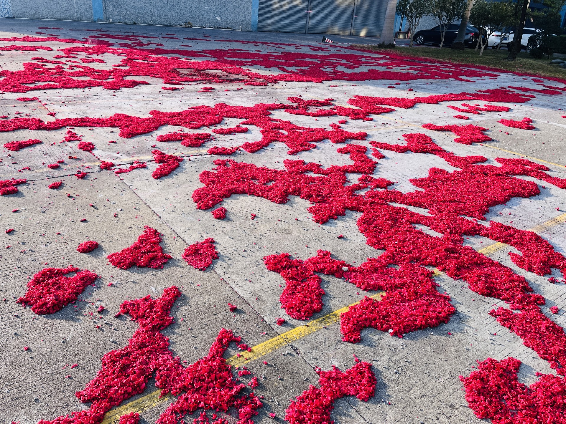 1686017254532883.jpg 滿地紅.jpg